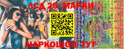 apvp Бийск