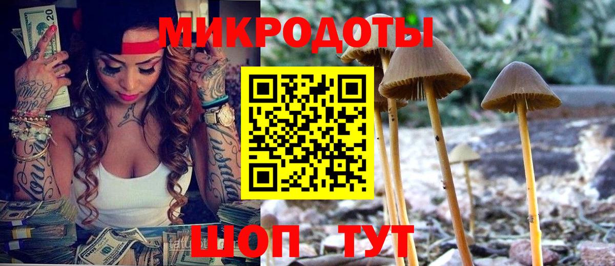 Псилоцибиновые грибы Cubensis  Вход с VPN  Елизово  Галлюциногенные грибы прущие грибы 